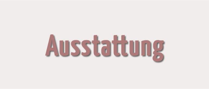 Kategoriebild zu Ausstattung