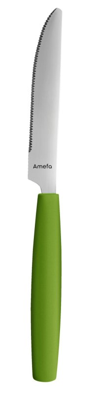 Besteckserie "Colour" grün Tafelmesser (1)